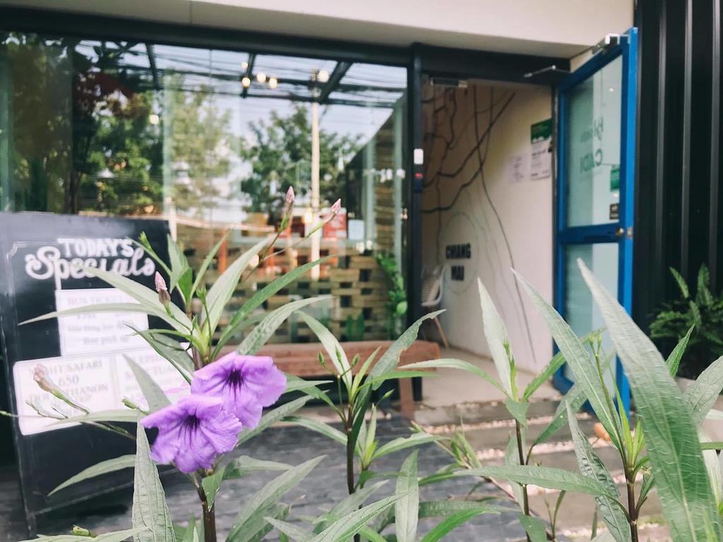 Bloomz Hostel Chiang Mai Ngoại thất bức ảnh